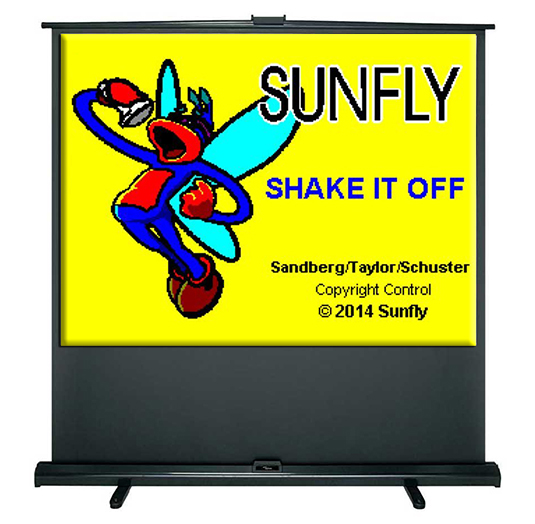 Projector Screen Hire NI